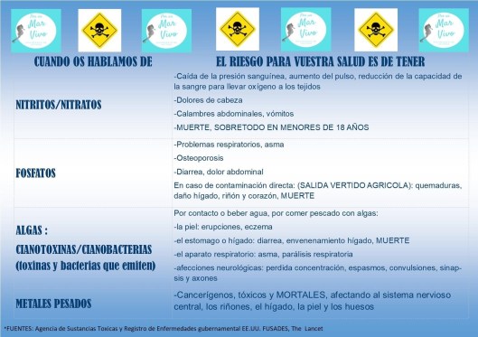 blog viernes 29 05 2020